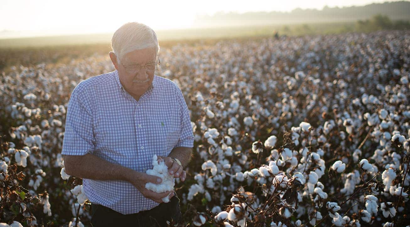 southeast cotton farmer in field
