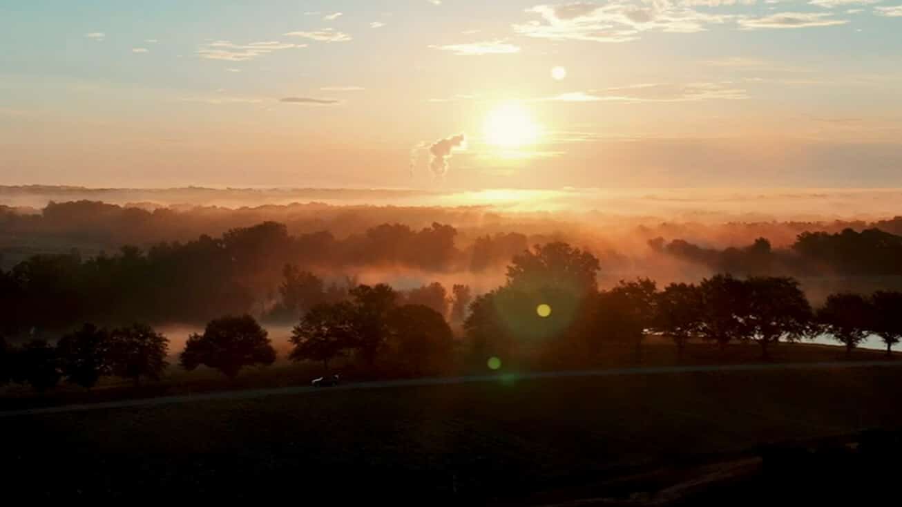 Sweeping landscape with sunrise and trees