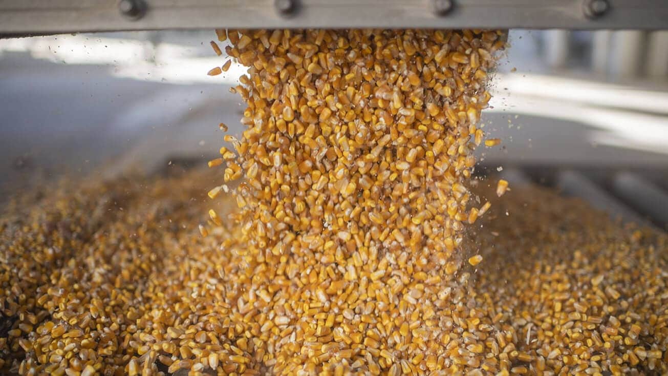 US corn and grain processing