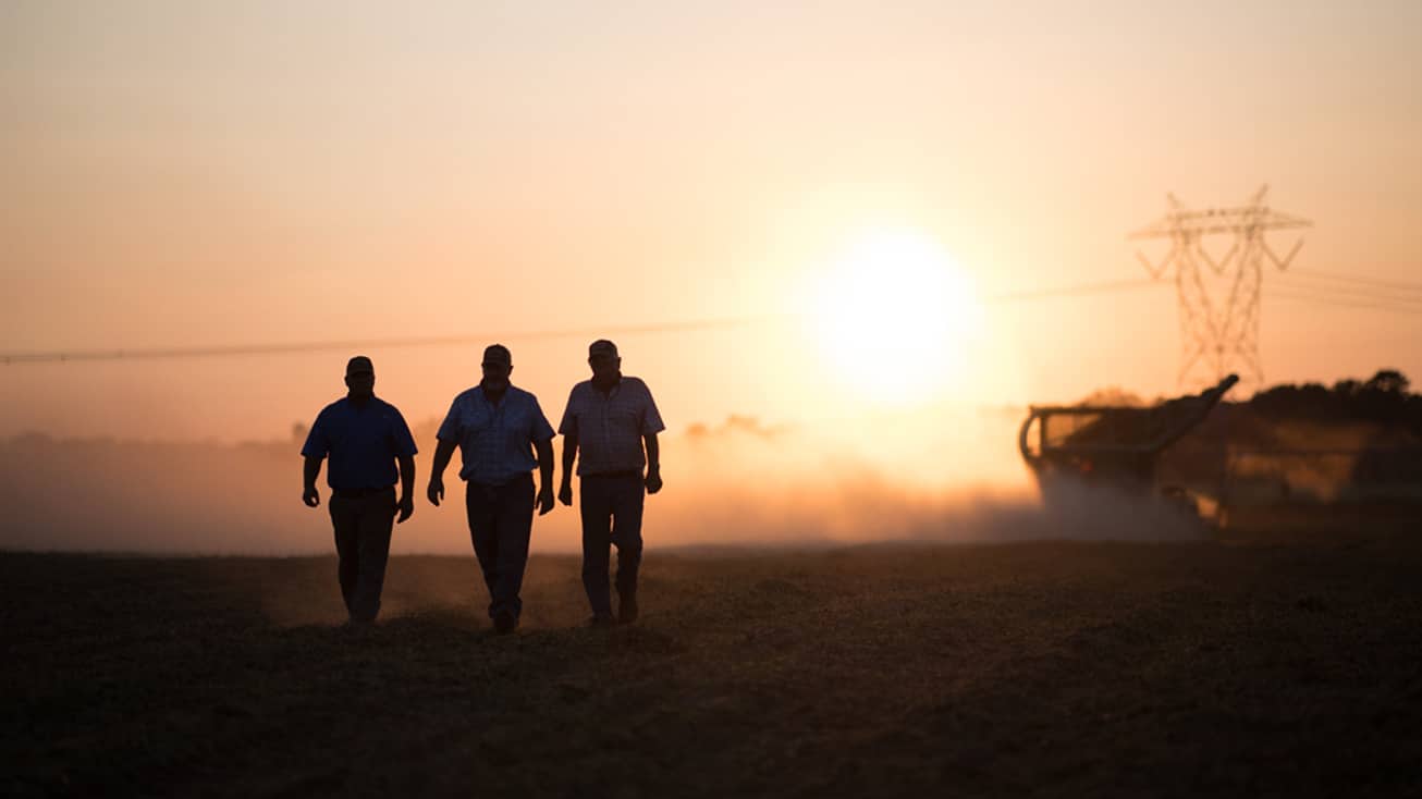three farmers walking into the sunset