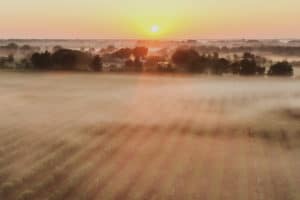 Row crops in the Southeast of the U.S.
