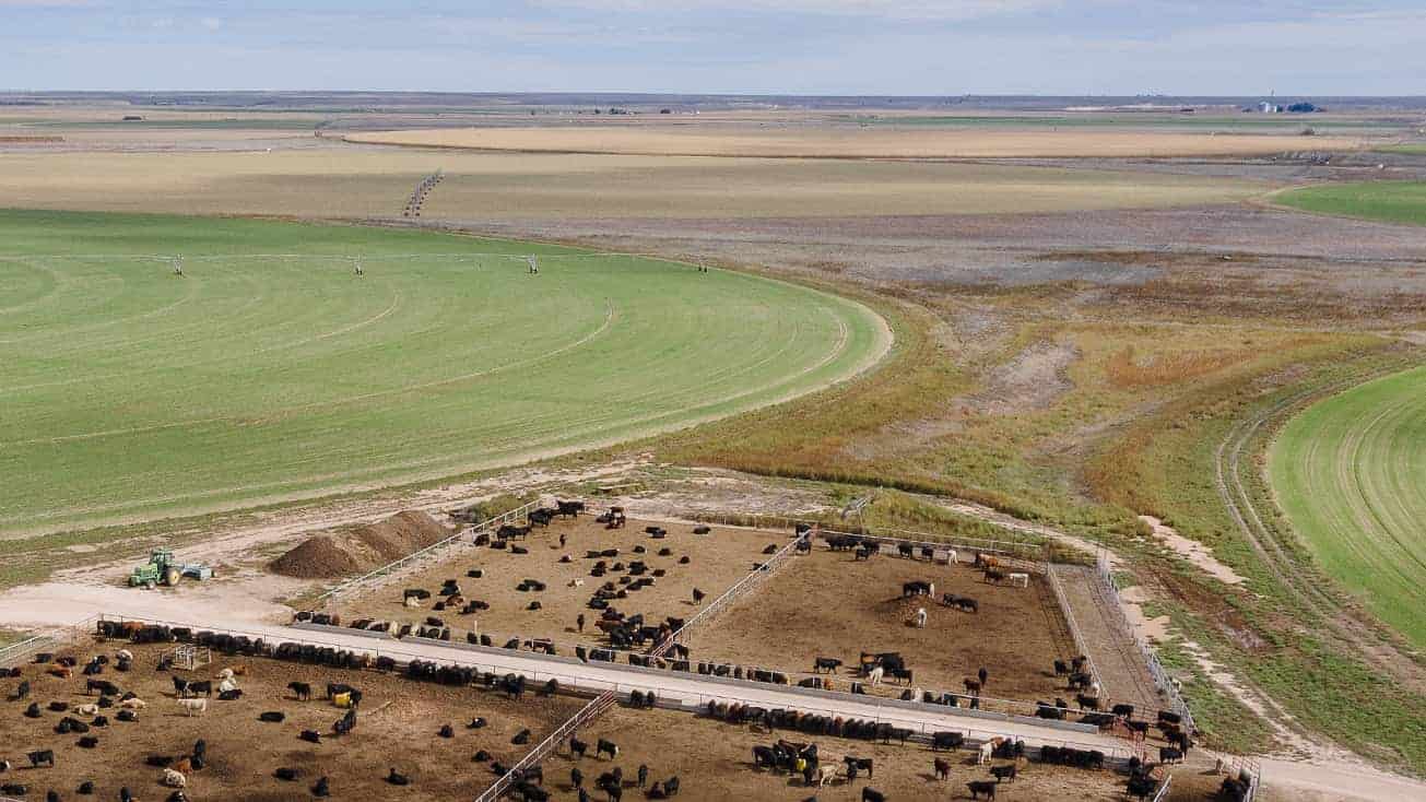 Cattle ranch in the Southern Plains.