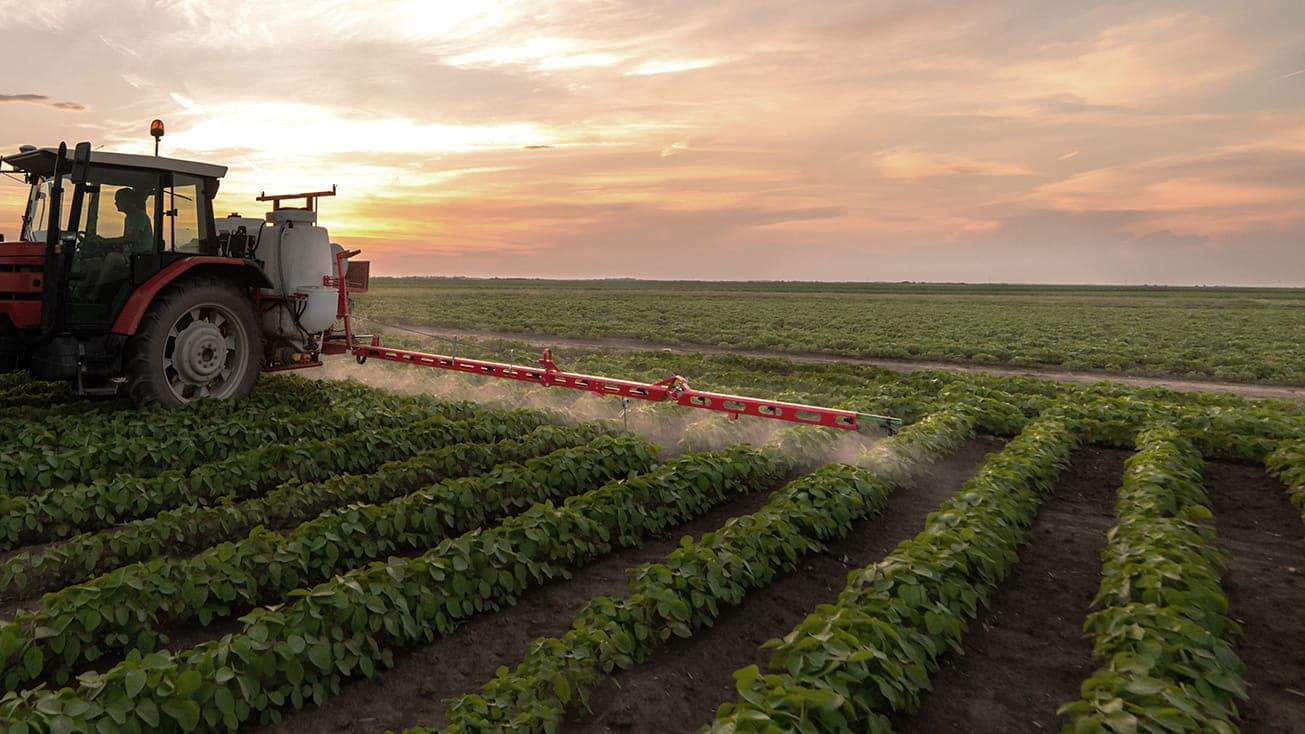 Spraying pesticide on crops in field
