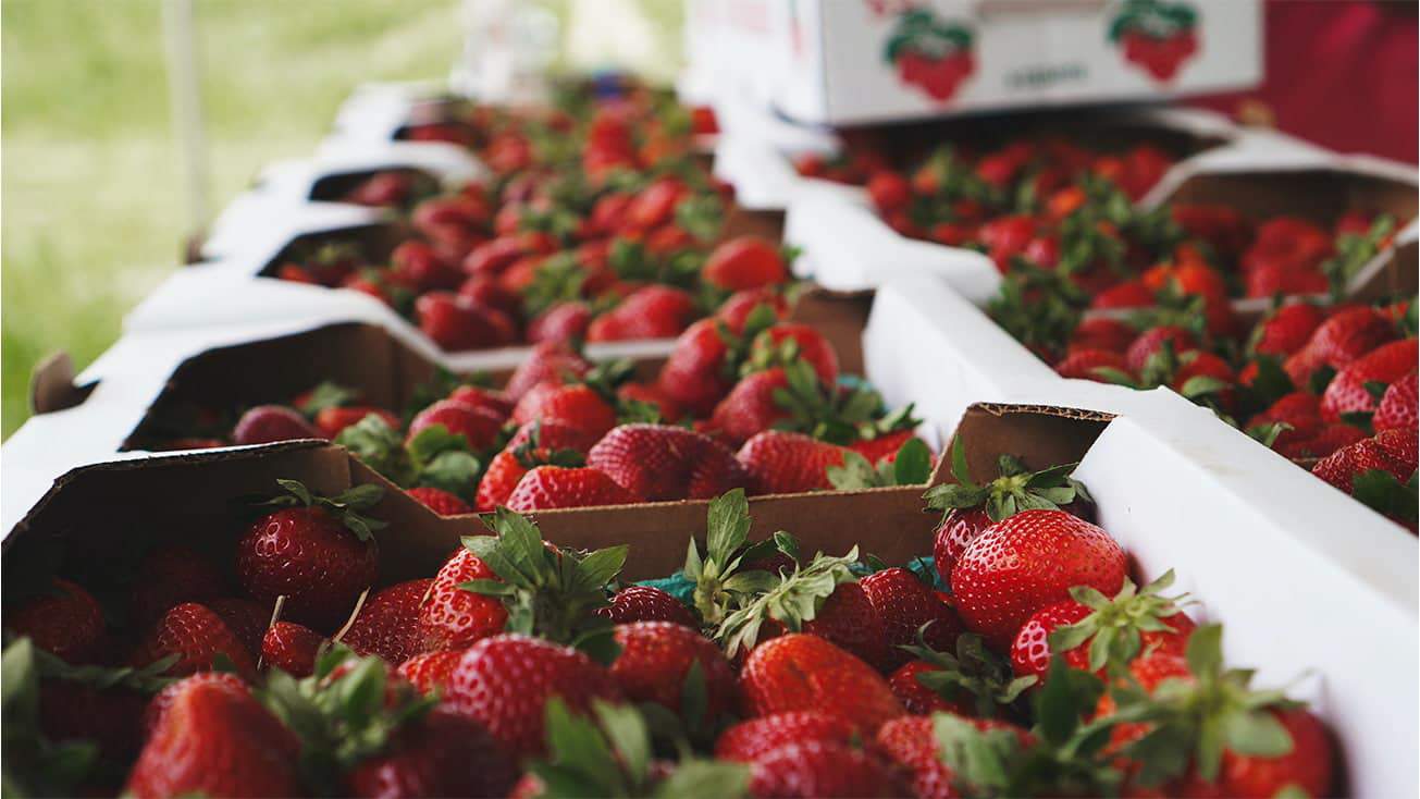 U.S. strawberries and specialty crops