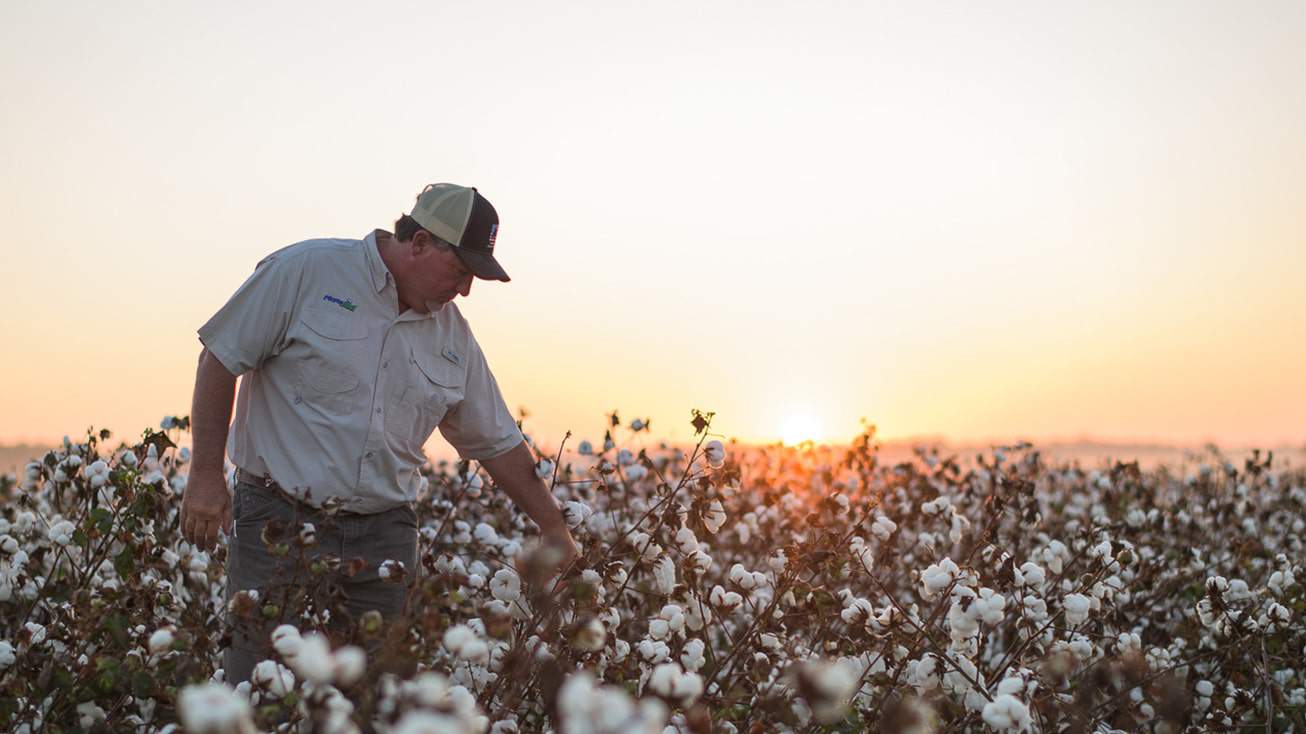 Farm Tax Preparation Tax Planning Tips for Farmers AgAmerica