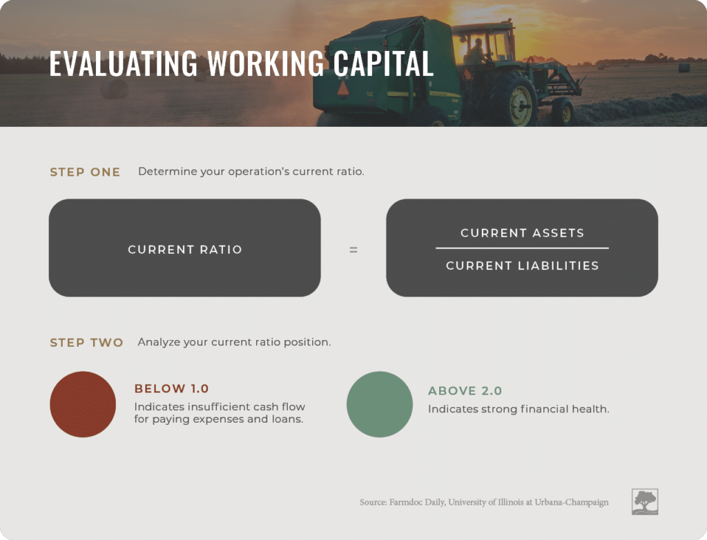 Importance of working capital for farms.