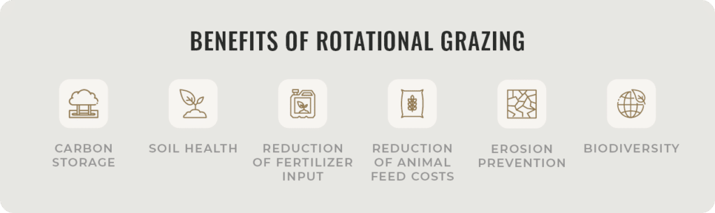 Benefits of Rotational Grazing
