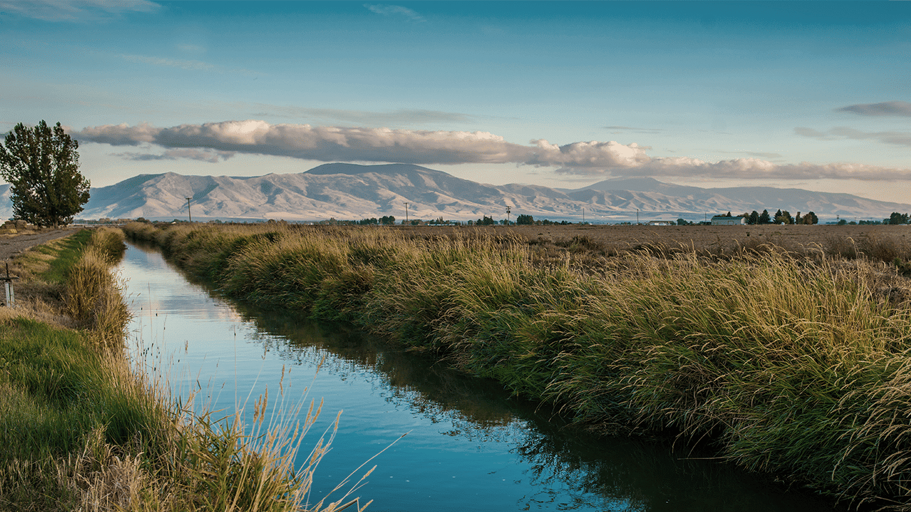 drought resilience