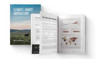 climate-smart whitepaper download