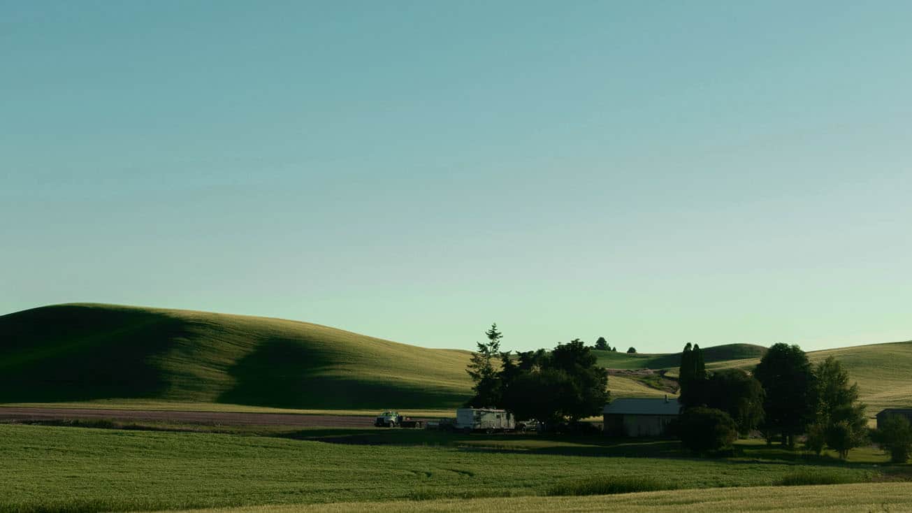 A green hill in the middle of a fertile field.