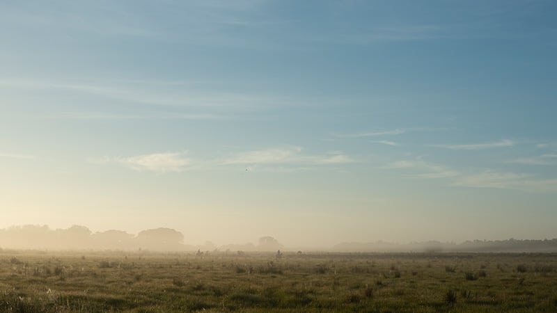 A man is standing in a misty field during FFA Week 2023.