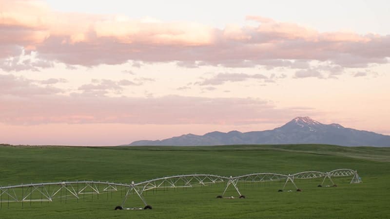 A large field with a water irrigation system in the background, perfect for showcasing during FFA Week 2023.