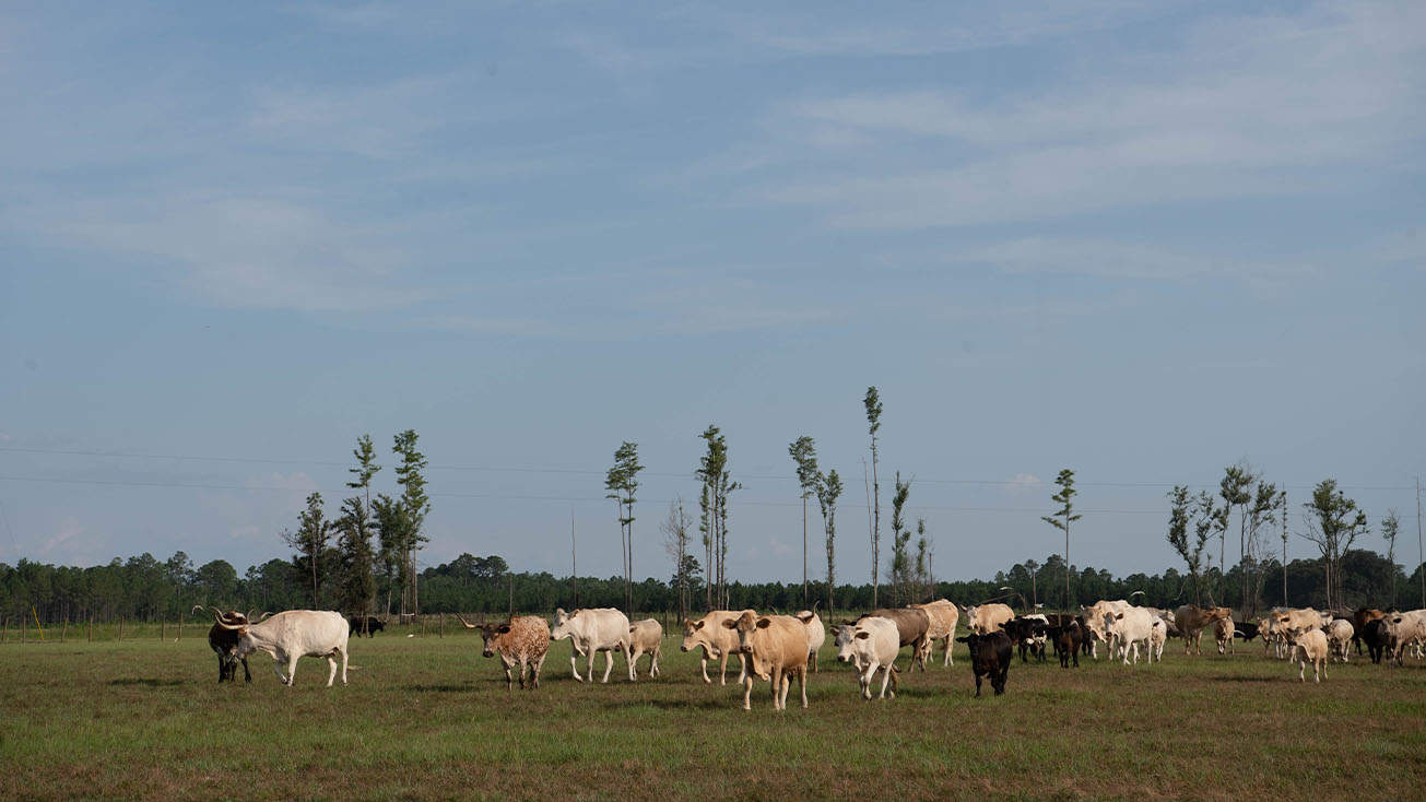 1.4MM Refinance Helps Farmer Lower Variable Rate AgAmerica