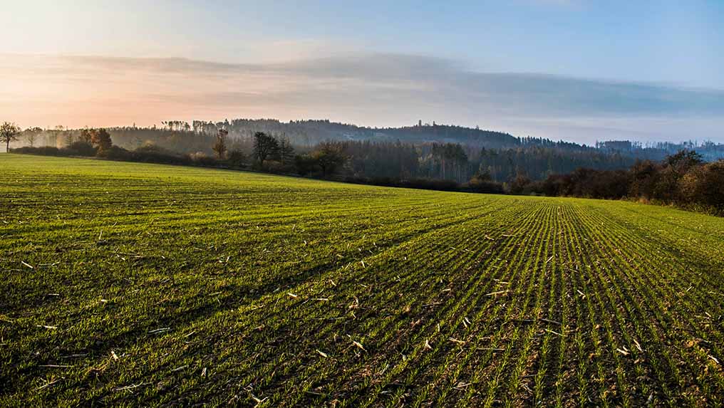 Farm land in the morning with fog covering trees and mountains in the background. Discover farm loan requirements to finance the purchase of farm land.