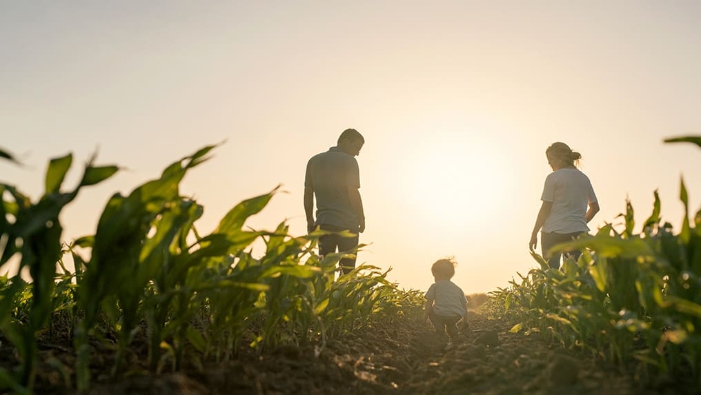 A farm family standing in a corn field together.