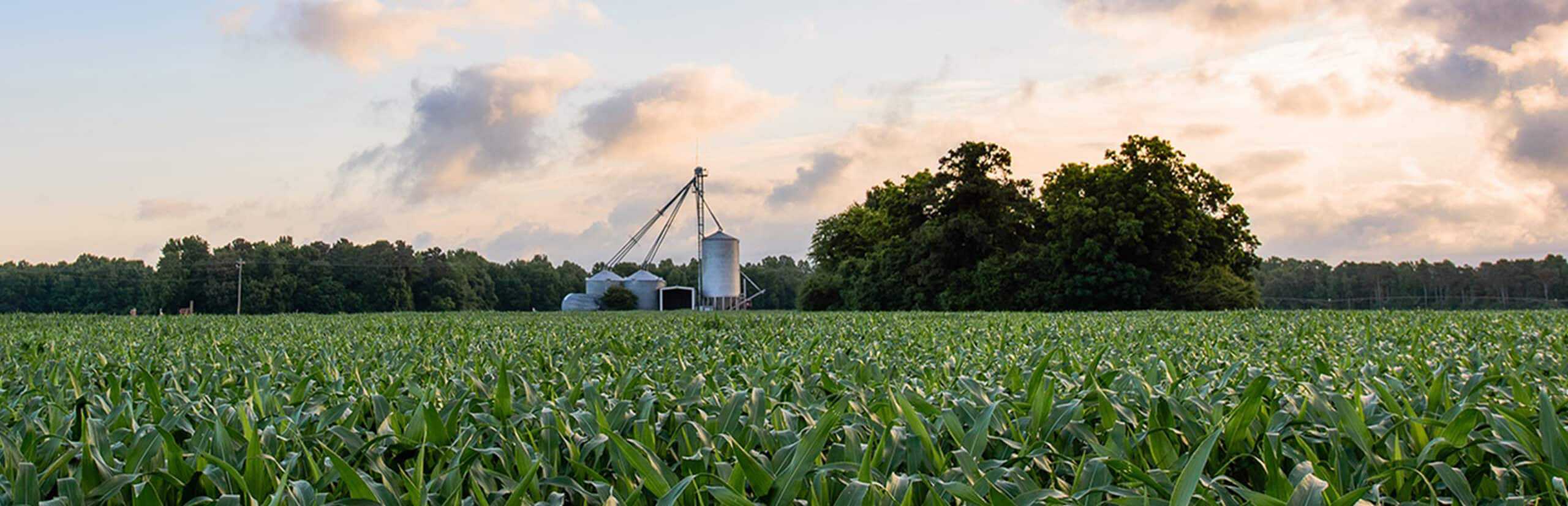 North Carolina Farmer Consolidates Farm Debt with $7.0MM Short Term Loan