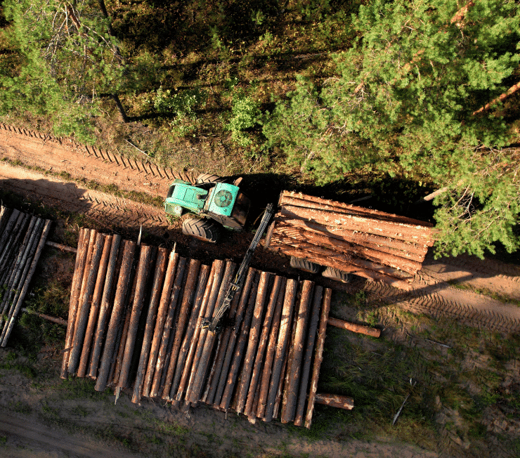 An aerial view of a truck driving through a forest, showcasing the harmonious partnerships between man and nature.