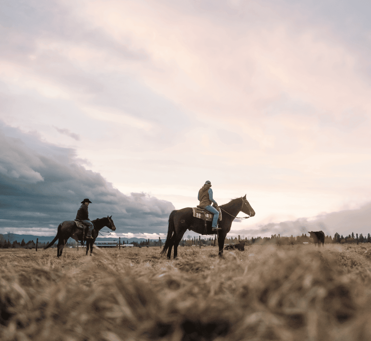 Celebrating the American Farmer | AgAmerica