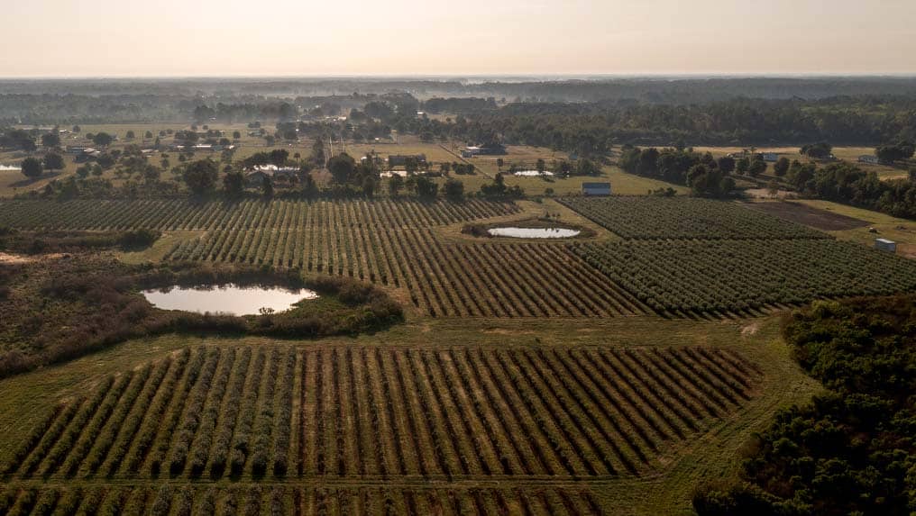 Drone image of farmland.