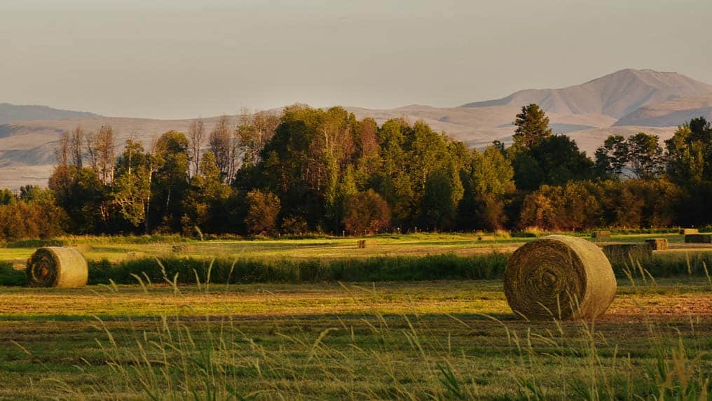 Hay bales in a field with mountains in the background, showcasing the success of farm ownership.