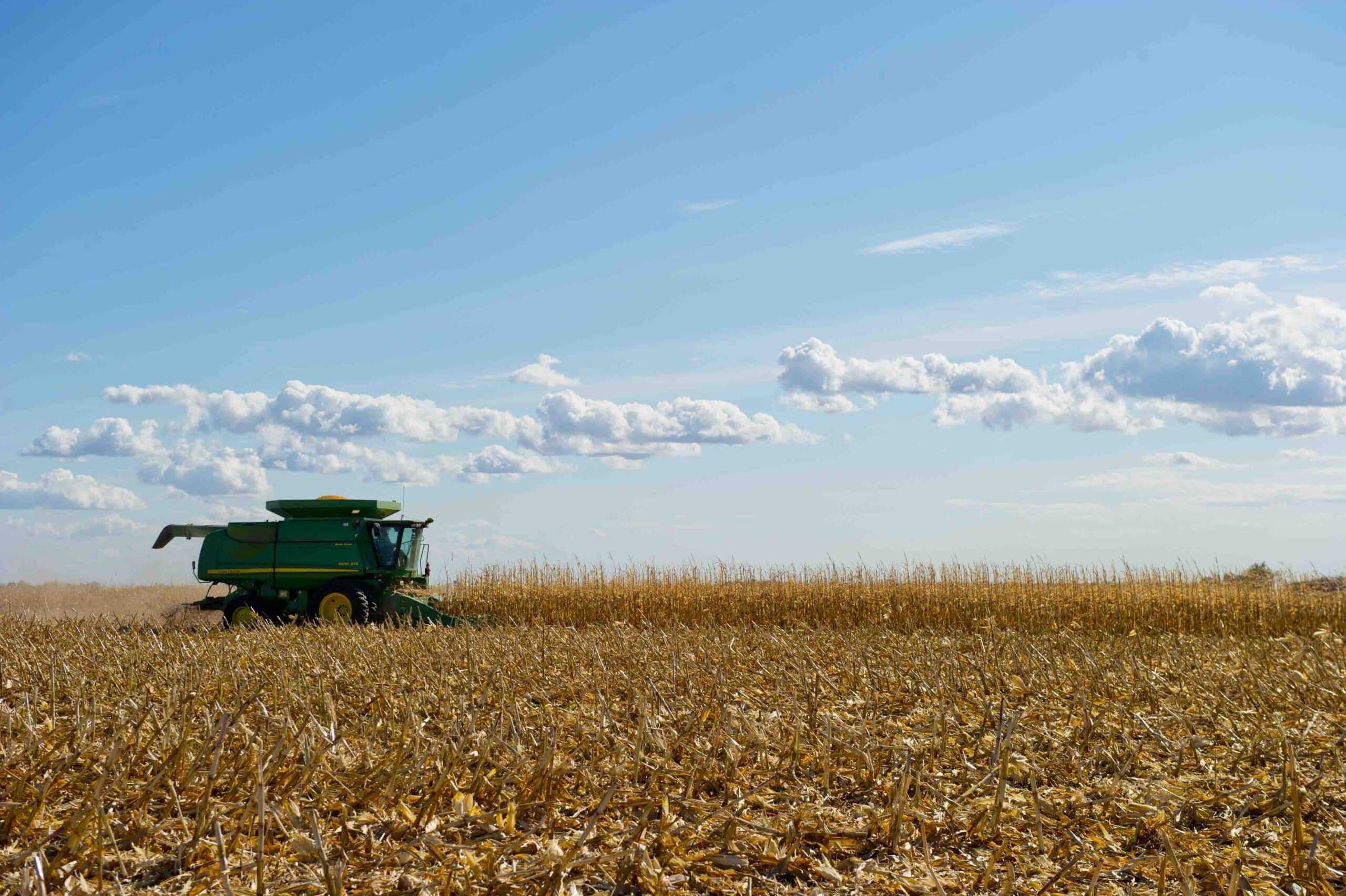 A green combine harvesting corn in South Dakota.