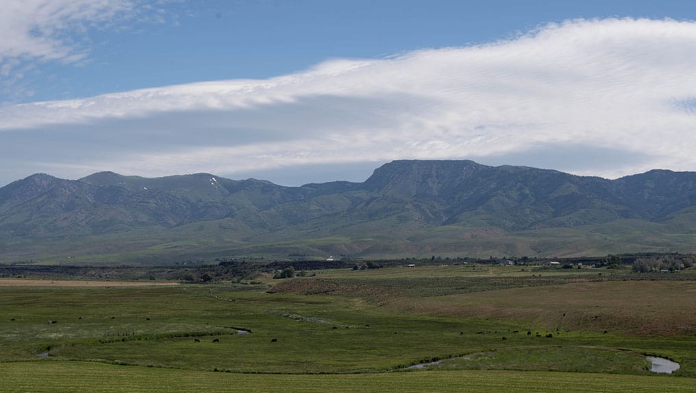 A green field with mountains in the background.