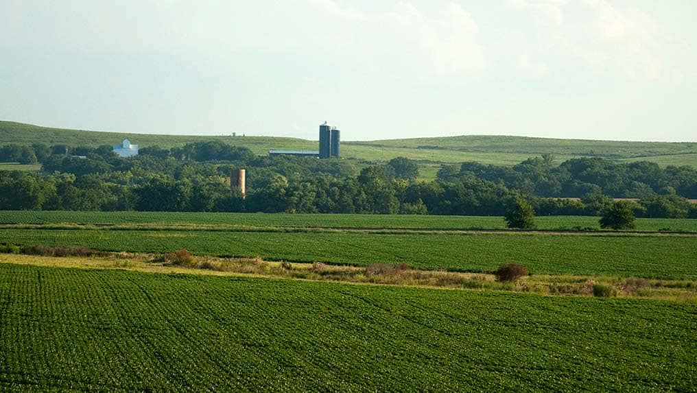 Lush green farmland, emblematic of reviving rural areas, with silos in the distance under a clear sky.