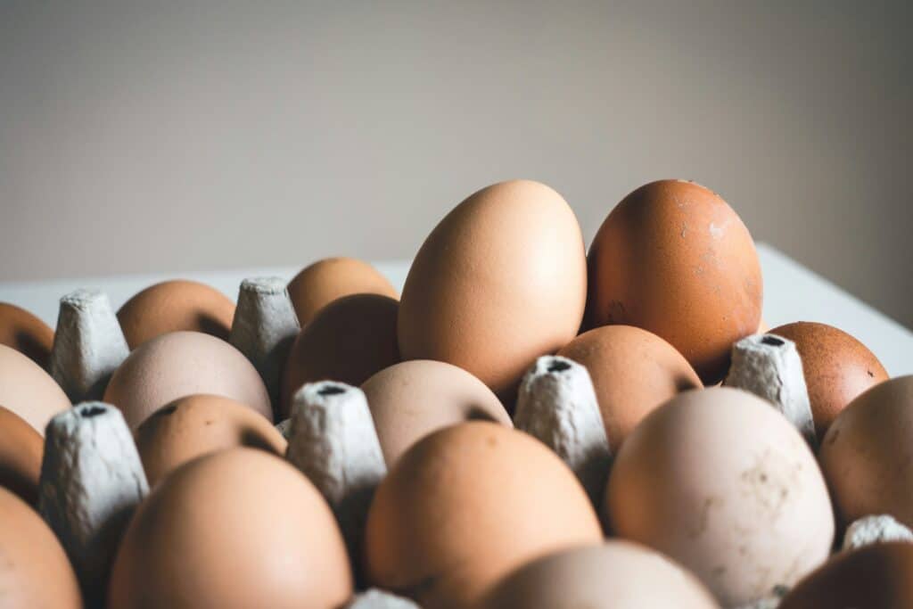 Brown and speckled eggs arranged in a carton, highlighted by soft, natural lighting against a neutral background, ready for livestock market updates.