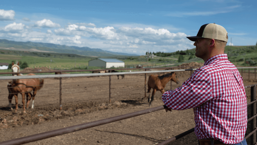 A man wearing a checkered shirt and cap stands by a fence, looking at horses in a fenced-in dirt area with a green landscape and building in the background, possibly pondering the best land loan rate for his dream property.