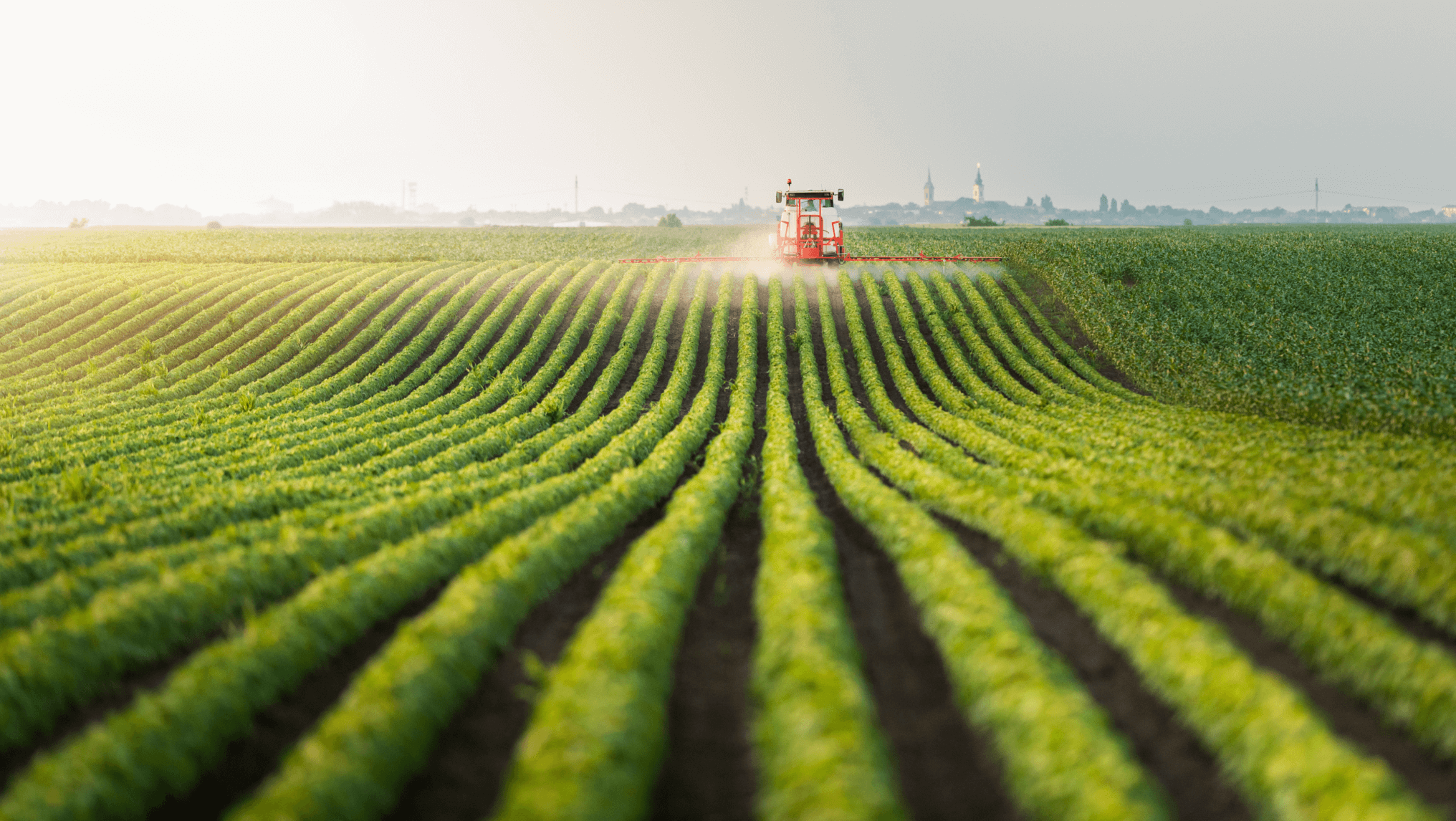 A red tractor sprays crops in a large, green, orderly field with a clear sky in the background, exemplifying the precision of industrial agriculture.