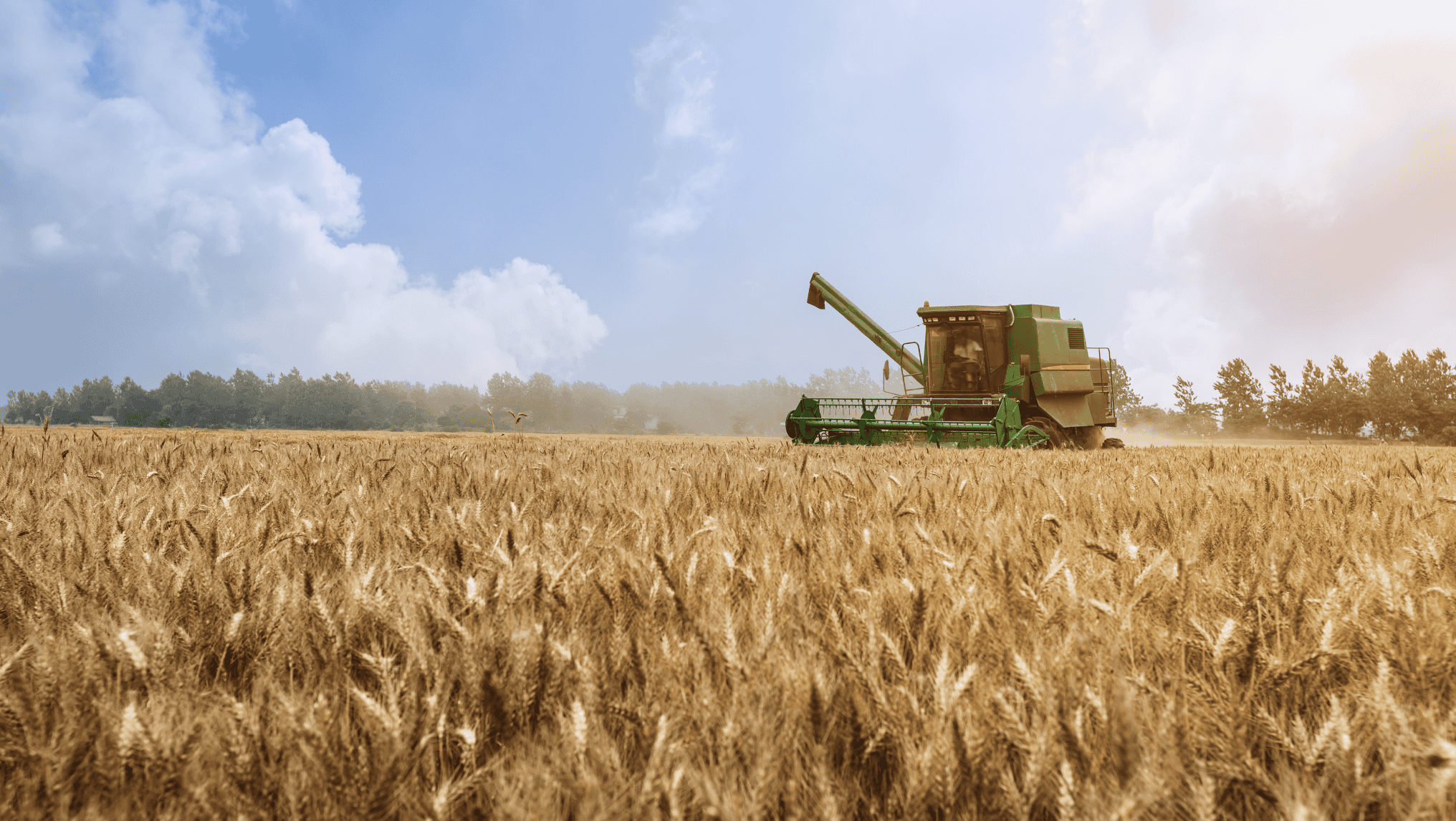 A green combine harvester operates in a vast, golden wheat field under a partly cloudy sky, symbolizing the success highlighted in the 2024 Farm Income Report.