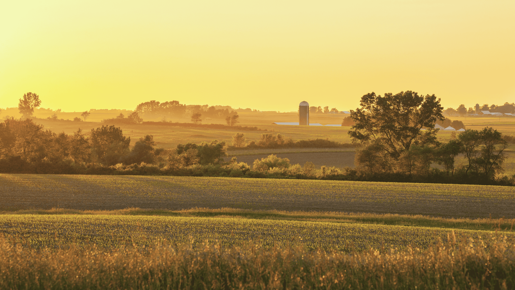 A rural landscape at sunset with fields, trees, and a silo in the distance under a golden sky captures the enduring spirit of a Southeast farmer’s hard work.