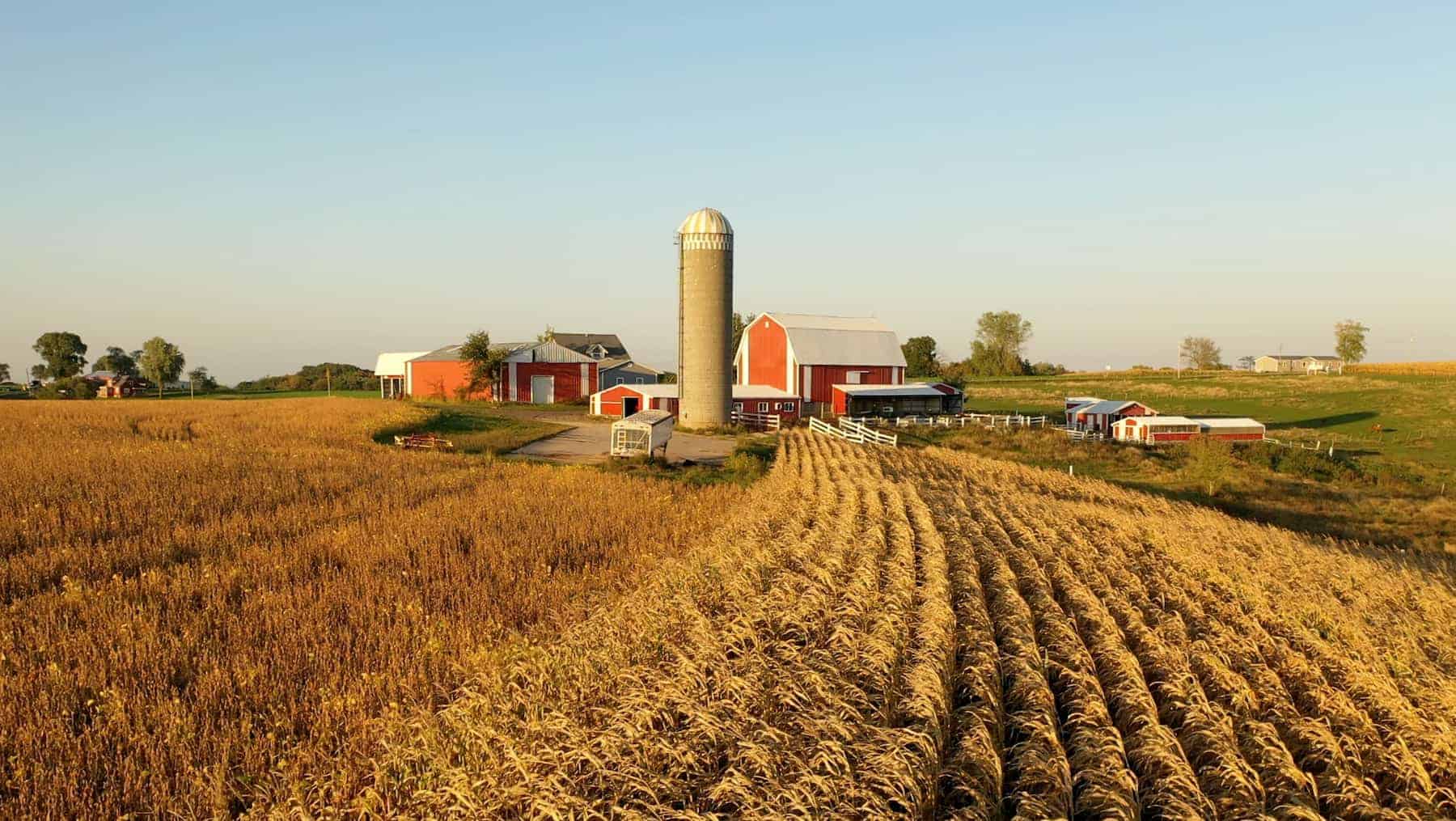 Aerial view of a farm showcasing a red barn and silo amidst sprawling fields, reflecting the impact of farm consolidation under a clear sky.