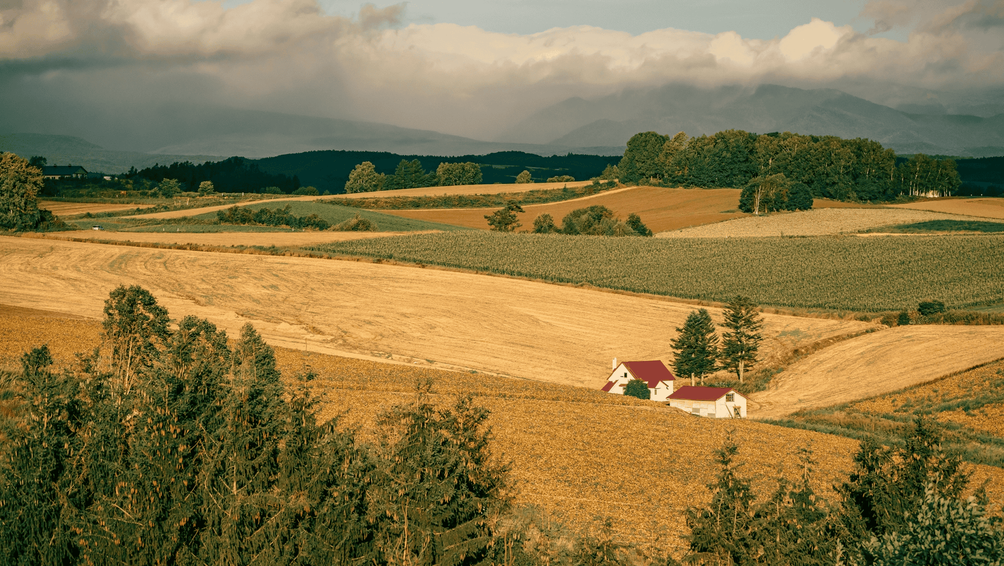 An aerial view reveals a rural landscape with rolling fields, a small white house with a red roof, and distant mountains under a cloudy sky. This tranquil scene subtly reflects the impact of farm policy on the countryside's enduring charm.