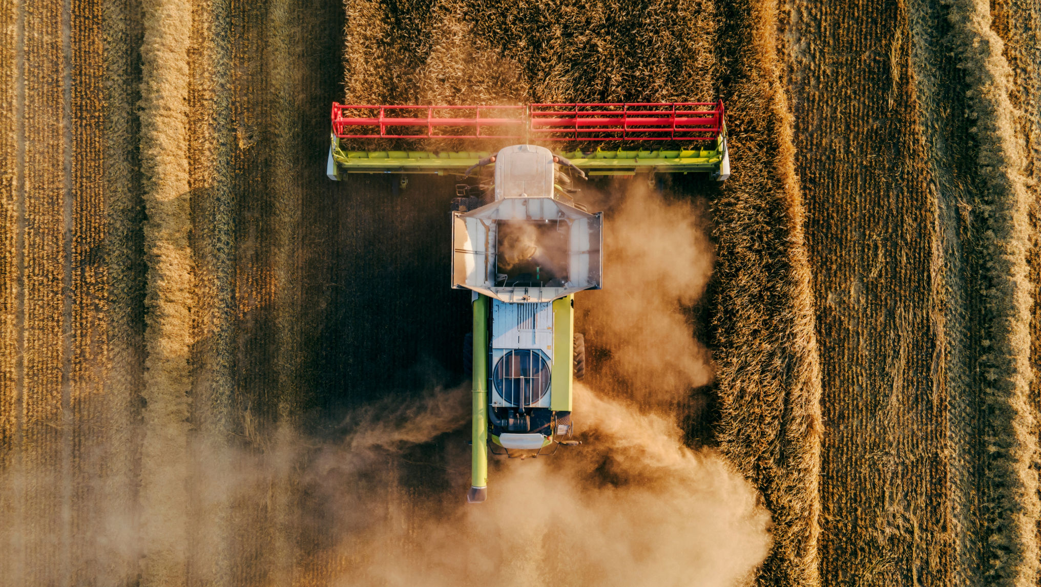 Aerial view of a combine harvester working in a field, creating dusty trails as it processes crops, showcasing the importance of integrated risk management in farm protection.