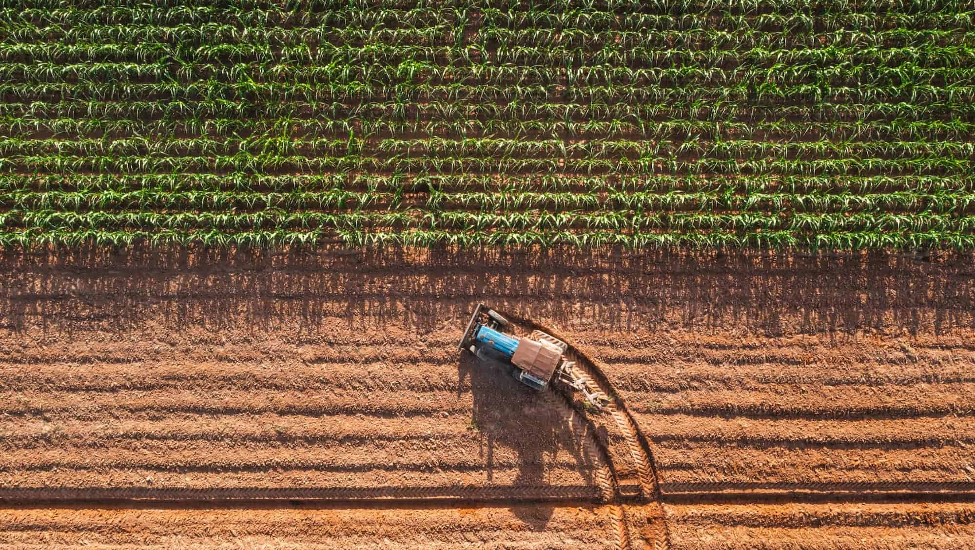 Row crop farming and the benefits of a farmland refinance.