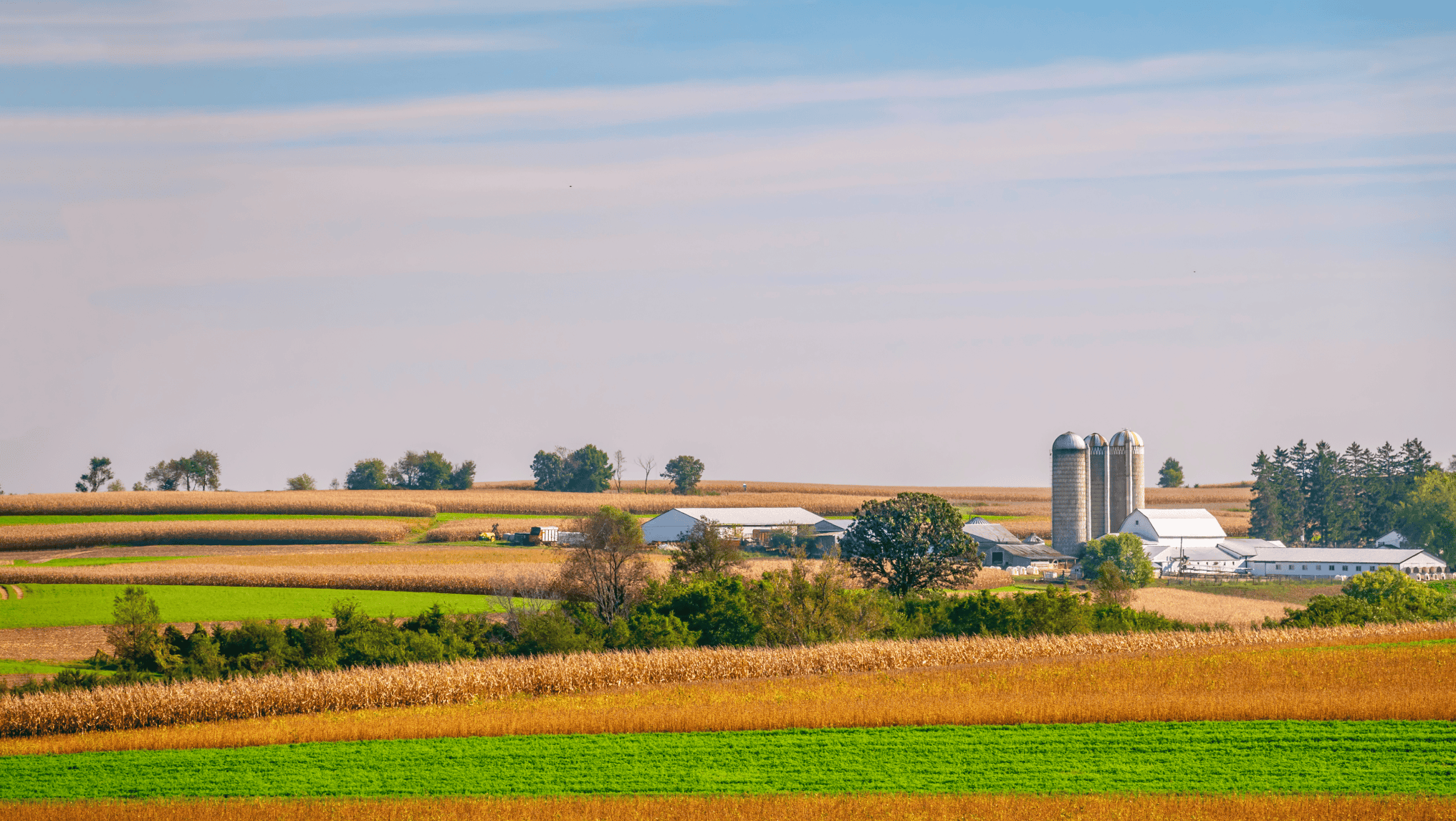 A rural landscape with rolling fields, a cluster of farm buildings, two silos, and scattered trees under a blue sky—an ideal setting for observing agribusiness growth in action.