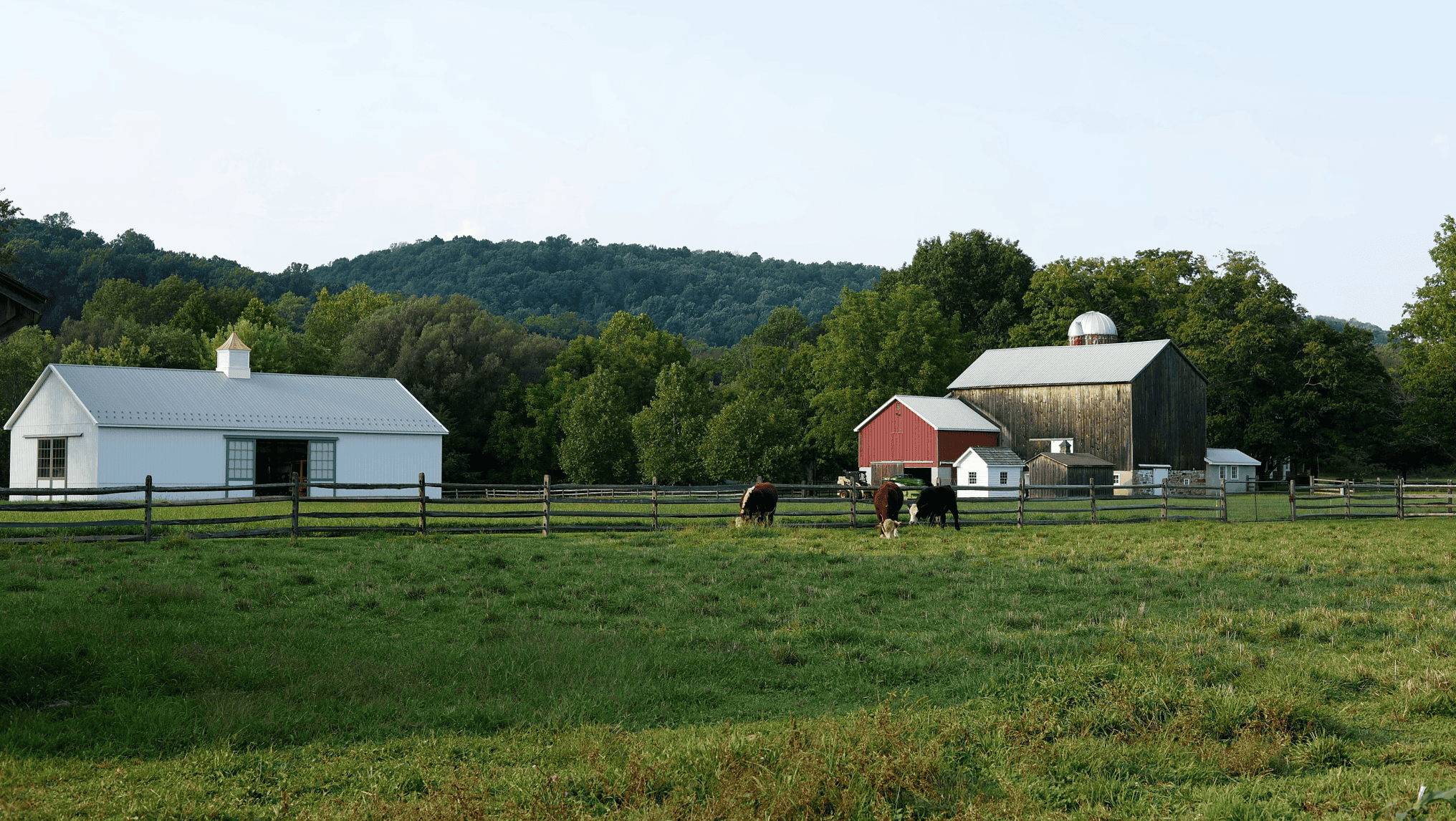2026 Farm Income Forecast to Help Producers Plan Ahead 