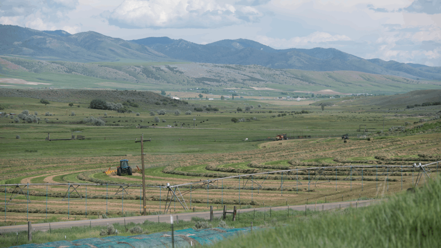 2025 Year in Review for U.S. Agriculture | AgAmerica