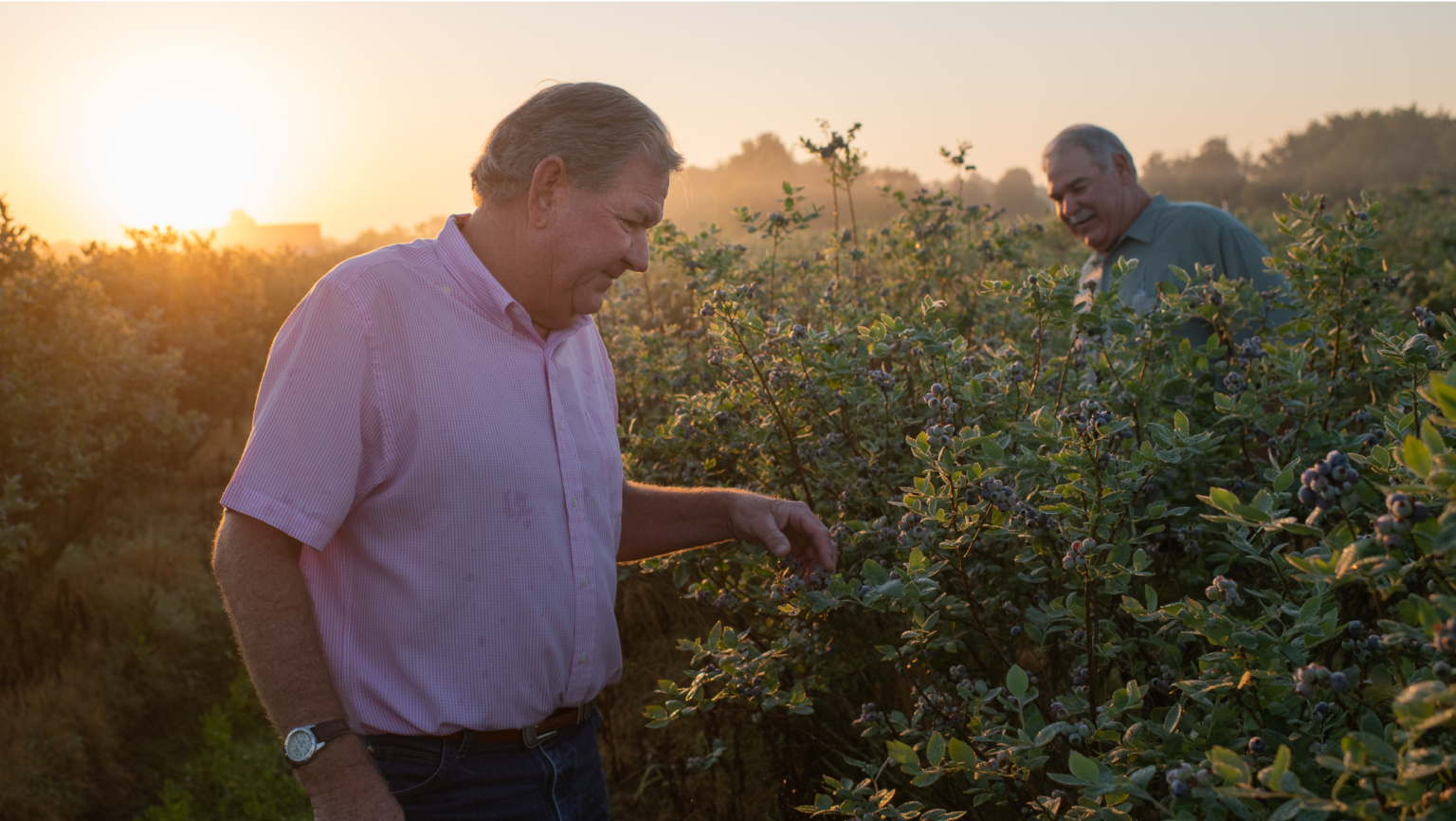 Client Resources: Financing Agricultural Land | AgAmerica